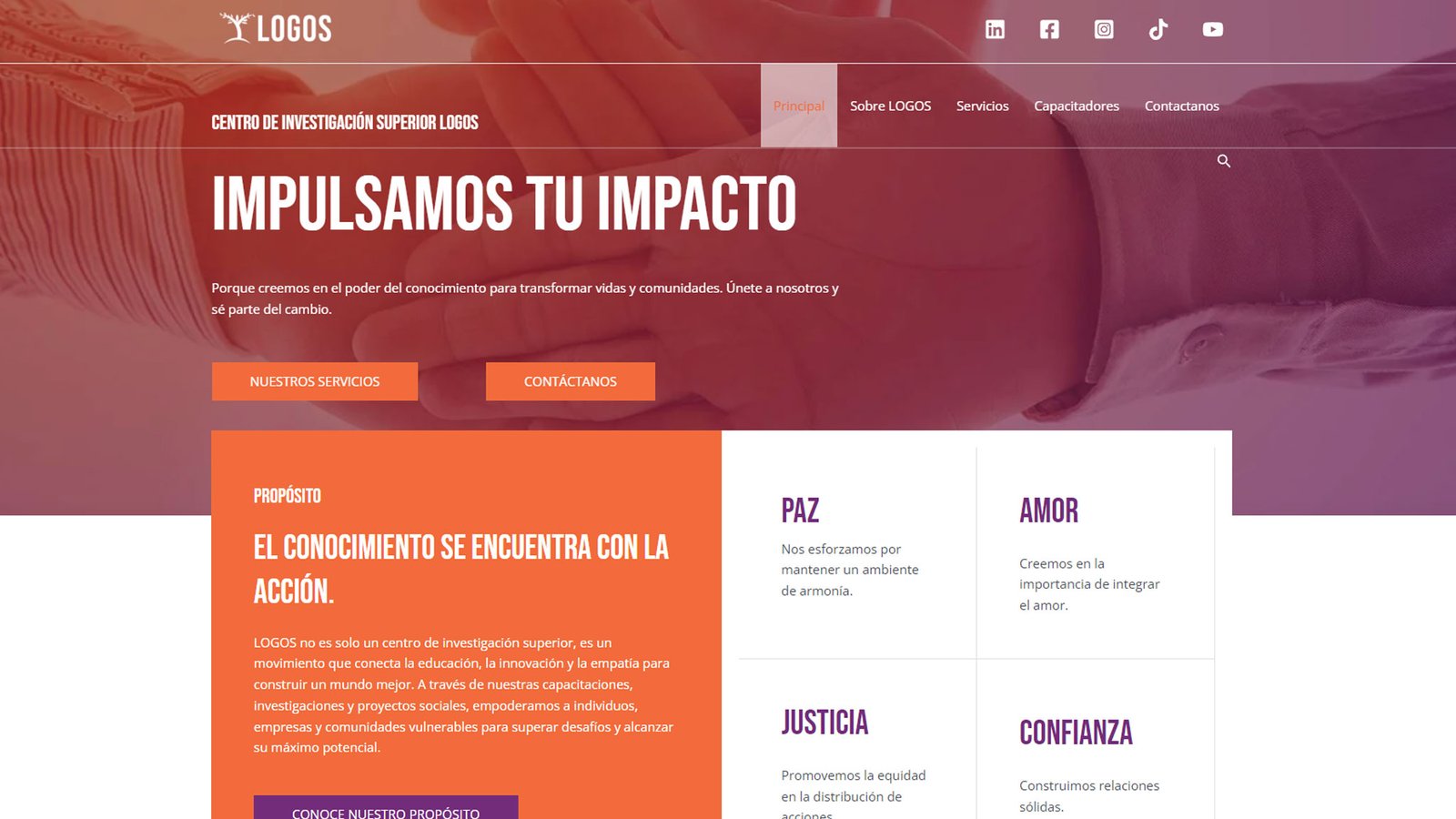 dise_Web