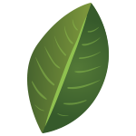 hojaA01